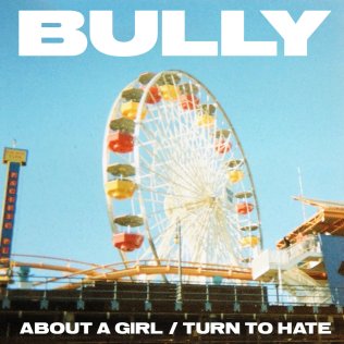 Bully-1588349355